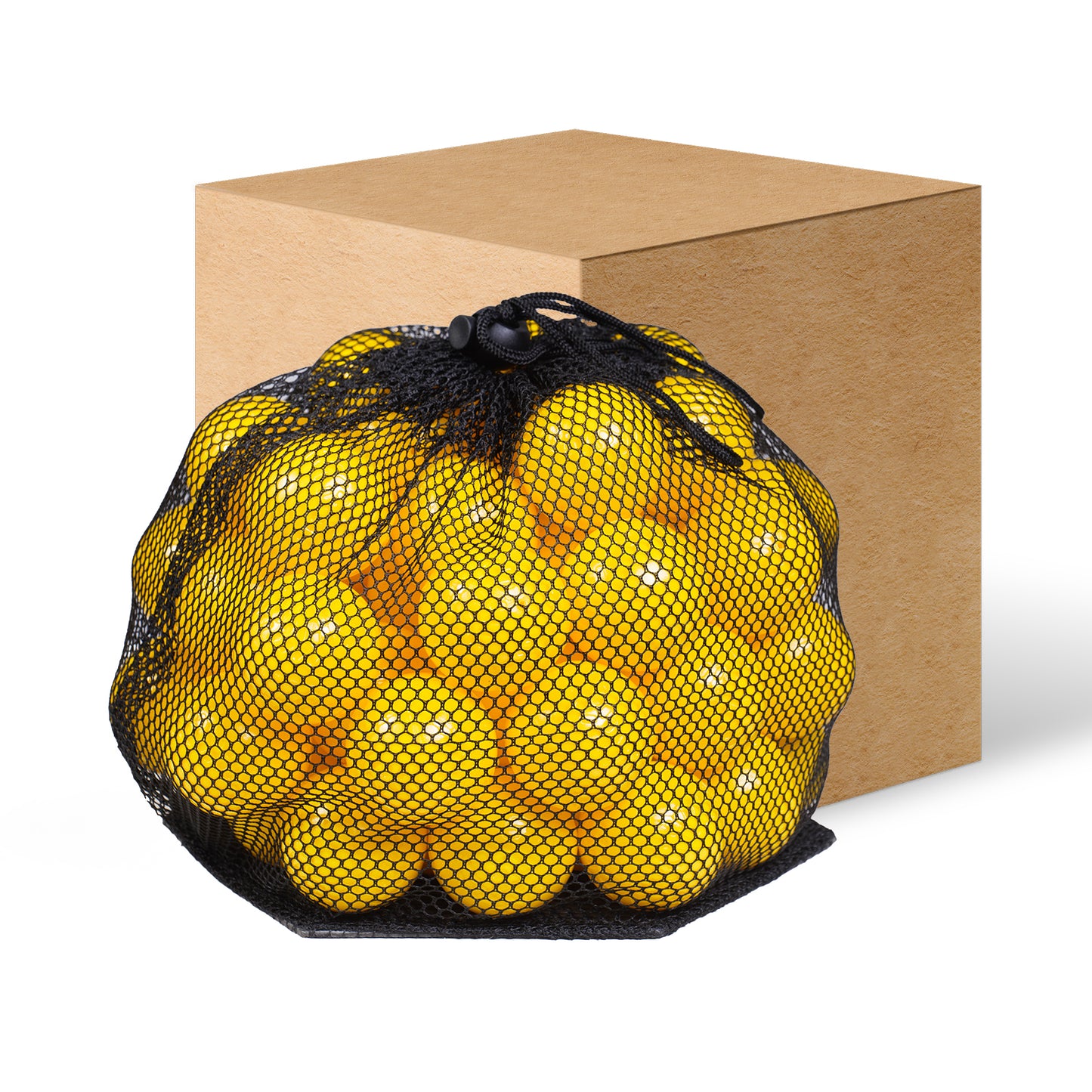 Furlihong Ping Pong Size Training Balls Only for 692BH