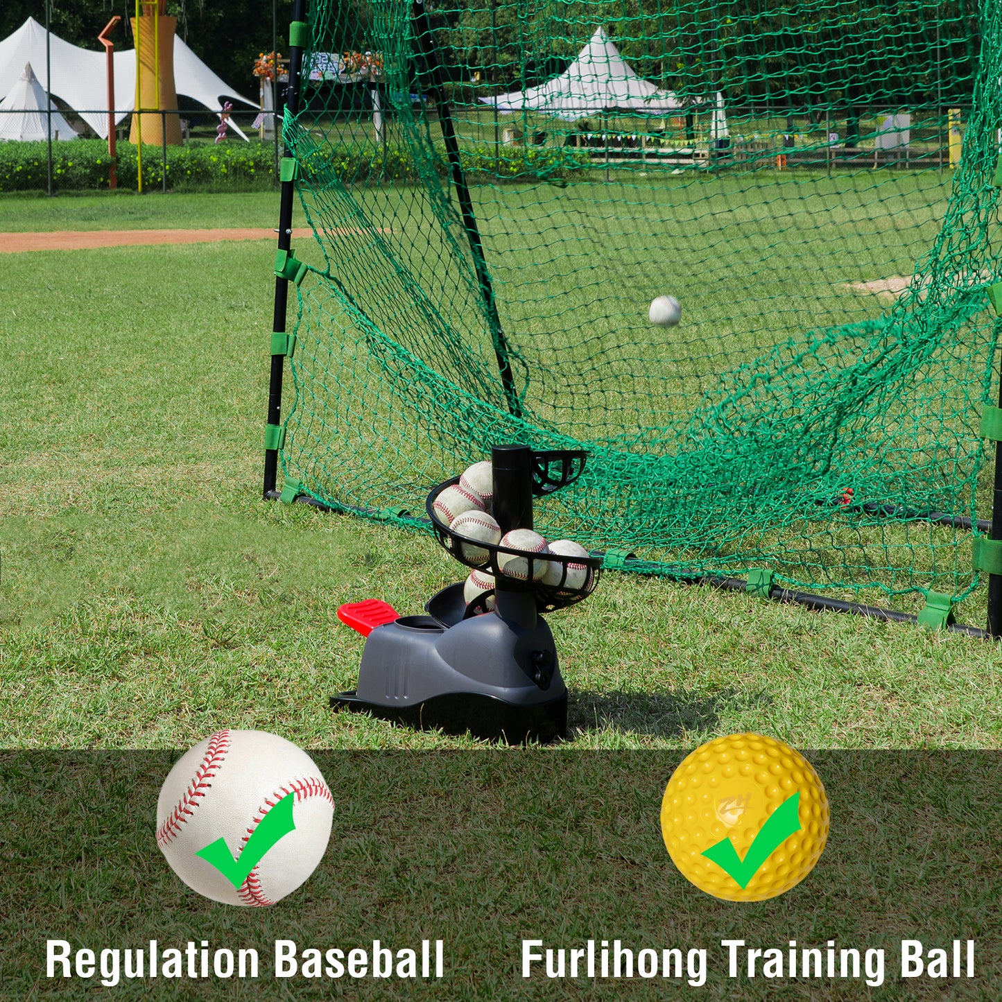 regulation baseball and training ball